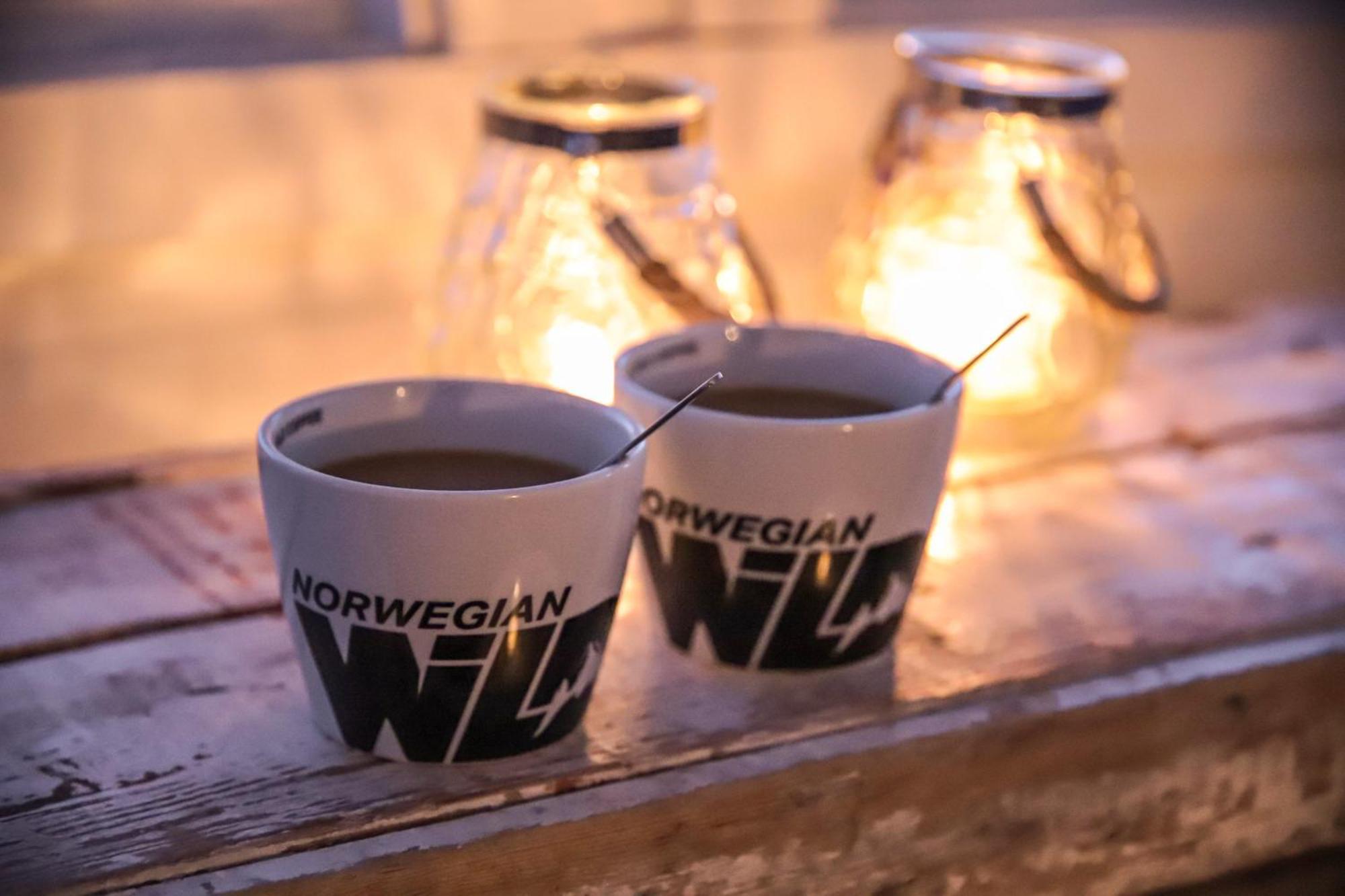 Norwegian Wild Villa Brygghaugen Dış mekan fotoğraf