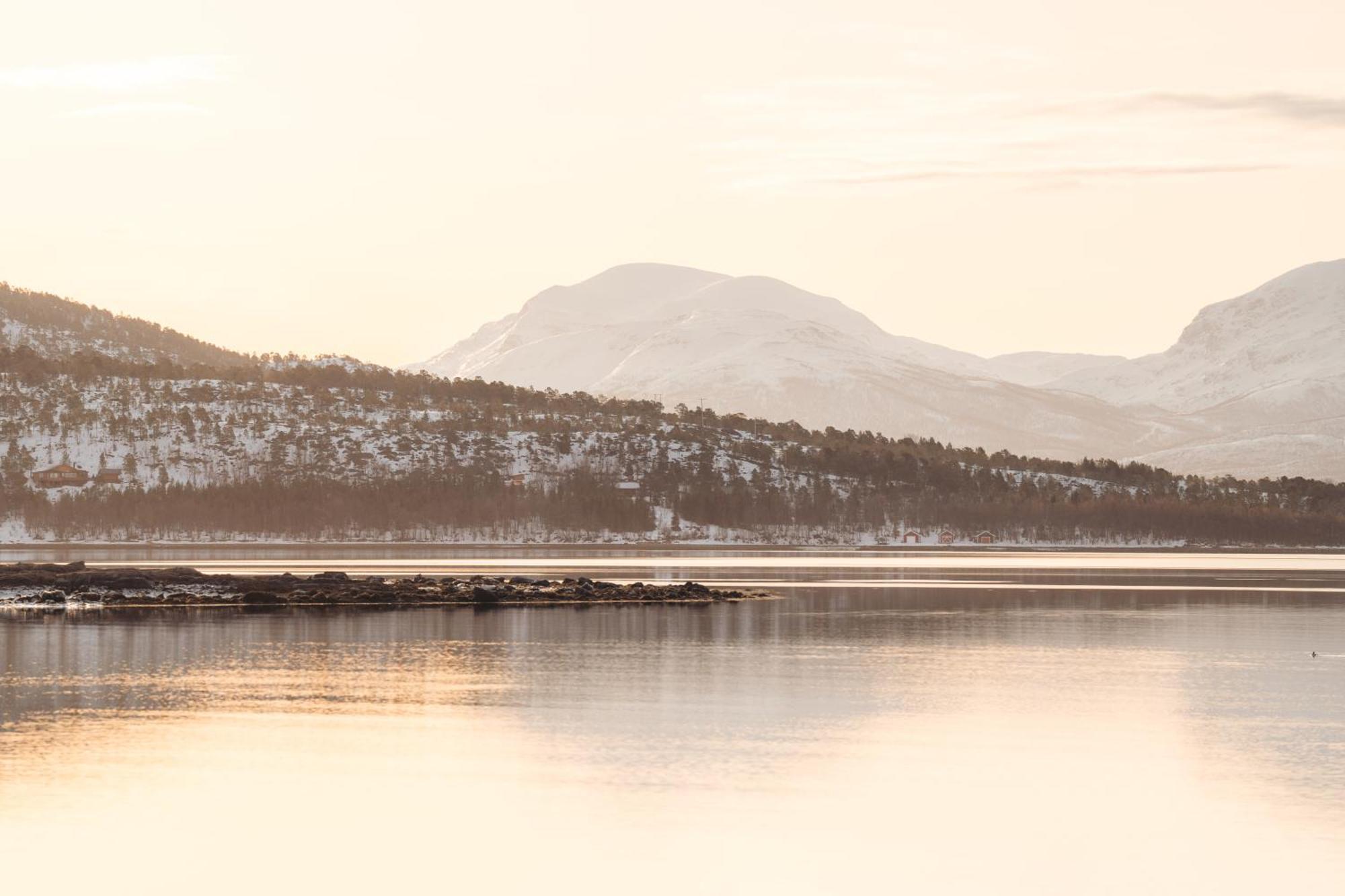 Norwegian Wild Villa Brygghaugen Dış mekan fotoğraf